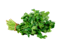 cilantro.png