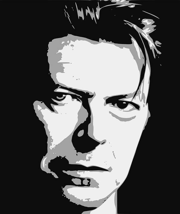 bowie-1152551_960_720.png