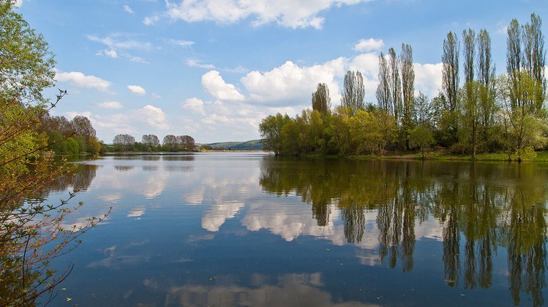 8722278947-birkungen-dam-eichsfeld (FILEminimizer).jpg