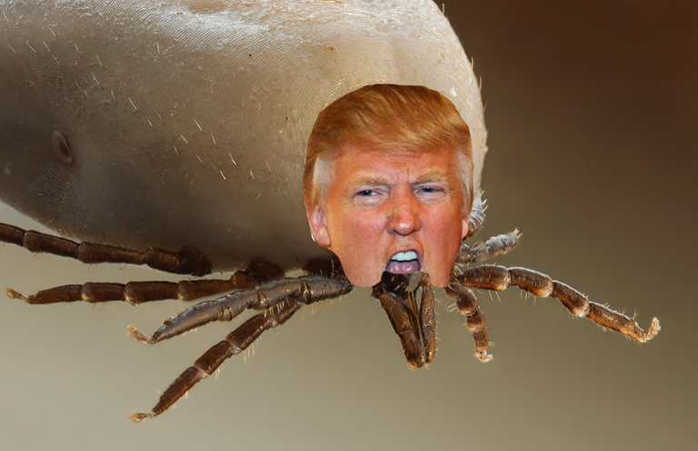 Trump - blood sucking tic.png