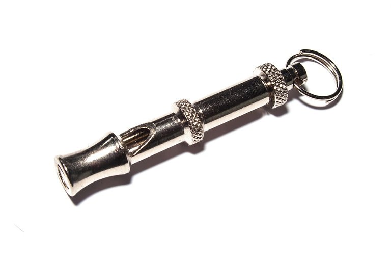 dog-whistle-280807_960_720.jpg