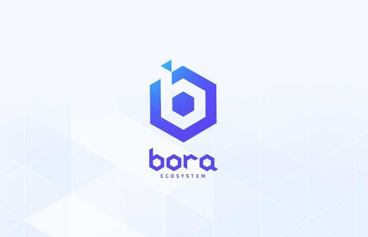 bora-ecosystem.jpg