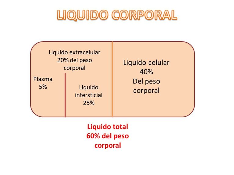 LIQUIDO CORPORAL.jpg