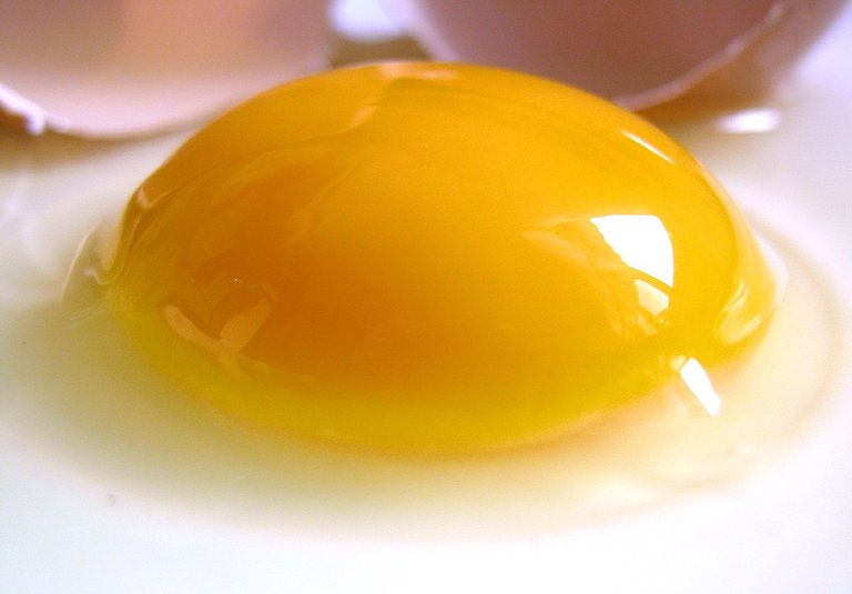 1200px-Raw_egg.jpg