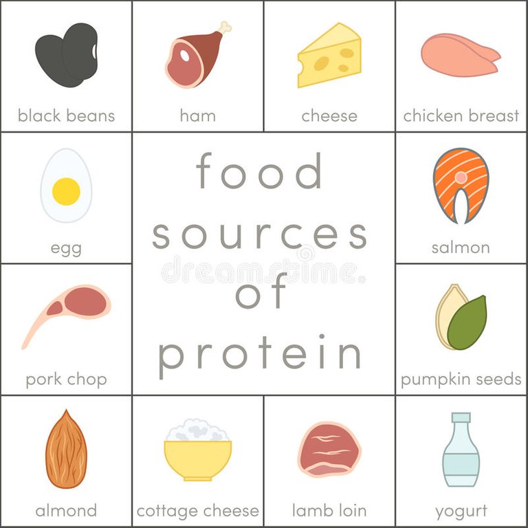 food-sources-protein-elements-infographic-91889412.jpg