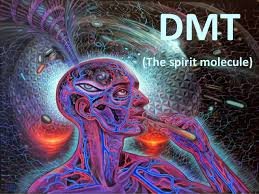 dmt alex grey.jpg