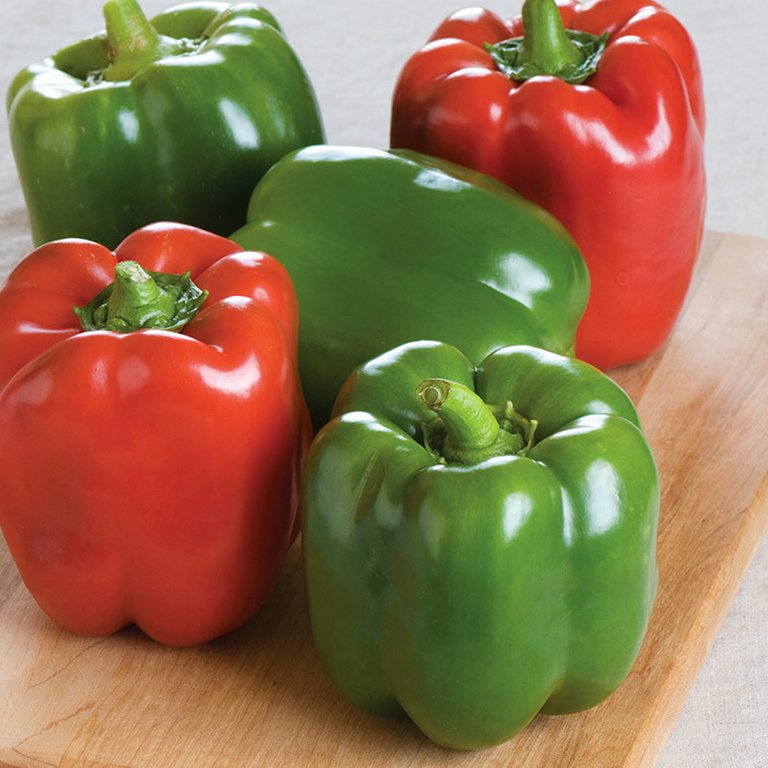 Bell-Pepper.jpg