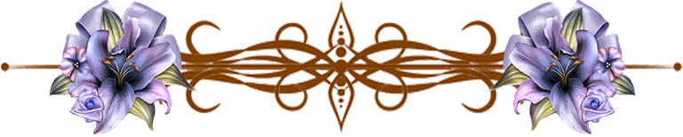 Separator (2).png