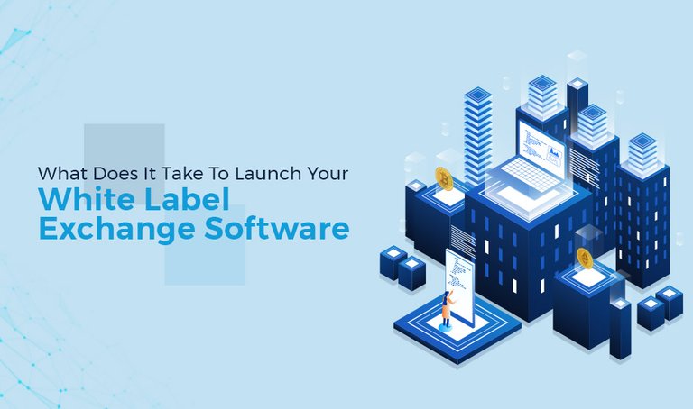 What-Does-It-Take-To-Launch-Your-White-Label-Exchange-Software.jpg