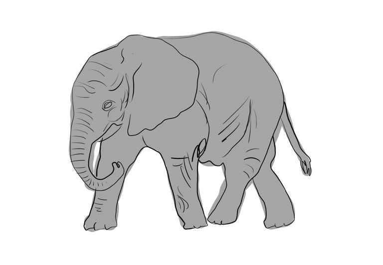 elephant (456).jpg