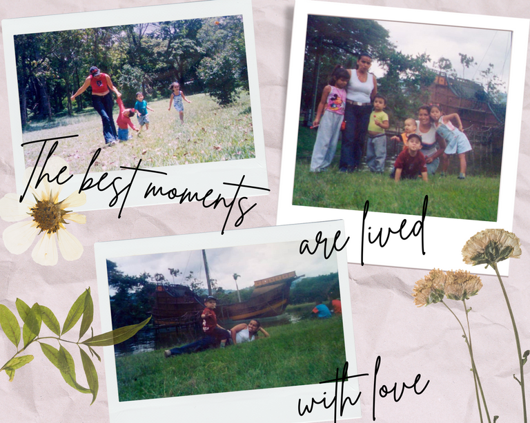 mother's day photo collage texture paper photos plants pink.png