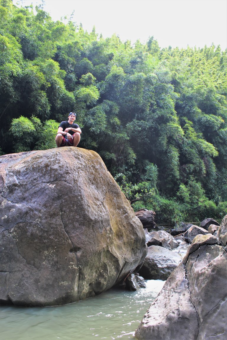 Bamboo Forest.JPG