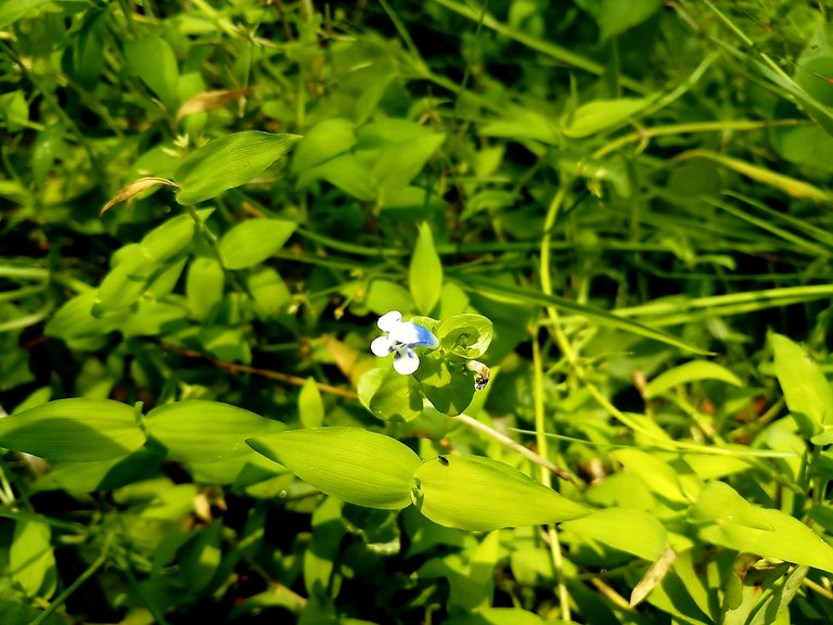 20200522_210441.jpg