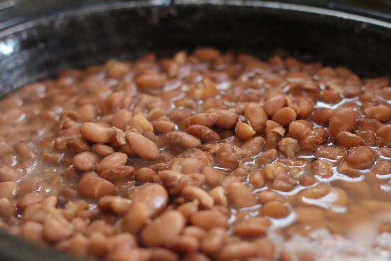 pinto-beans-356622_1280.jpg