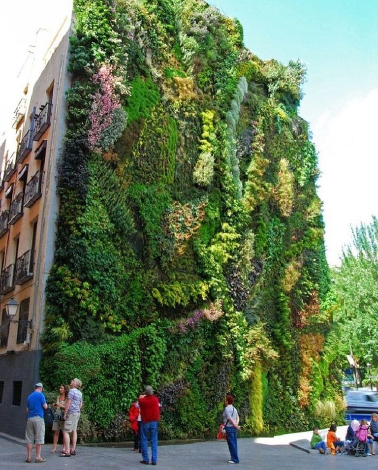 green wall.jpg