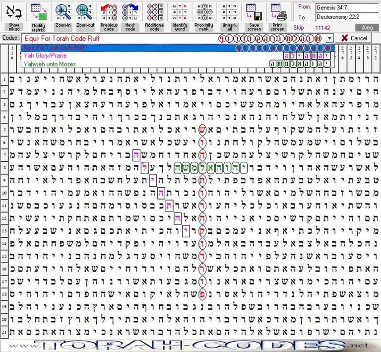 Equi Torah Code Ruff.JPG