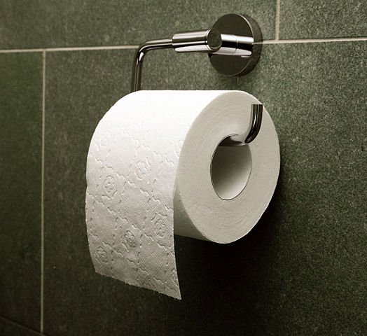 524px-Toilet_paper_orientation_over.jpg