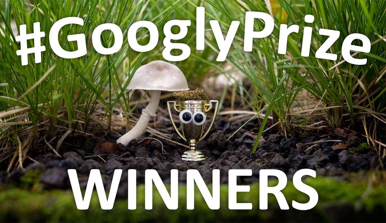 GooglyPrize GooglyEyes TitleImage Vol103