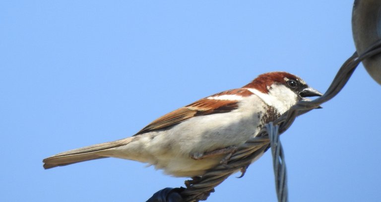 DSCN1065.JPG