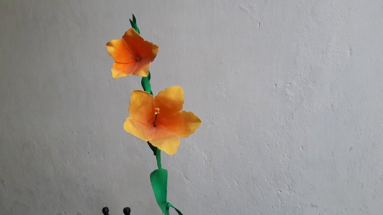 20180705_170908.jpg