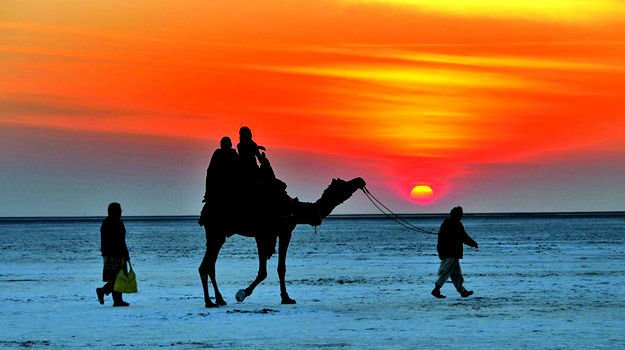 rann-of-kutch.jpg