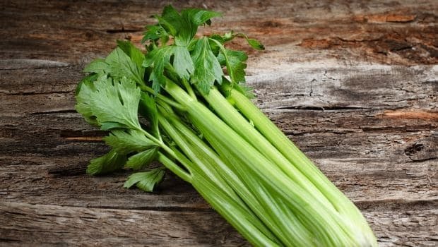 celery_620x350_51525944809.jpg