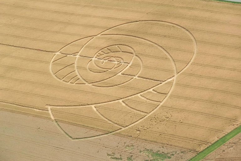 1200px-Swiss_Crop_Circle_2009_Aerial_(3766687033).jpg