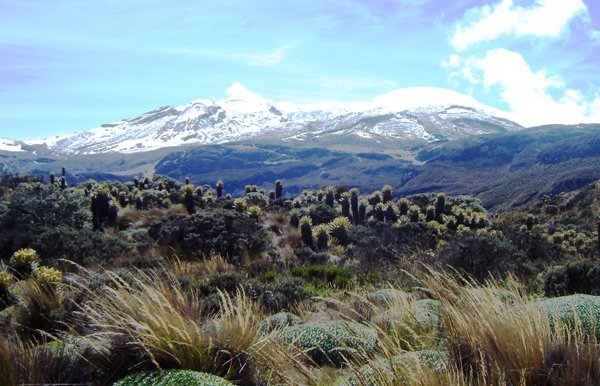 PARQUE-NACIONAL-NATURAL-LOS-NEVADOS.jpg