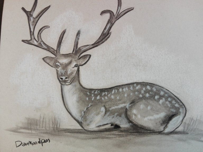 deerdrawing(8).jpg