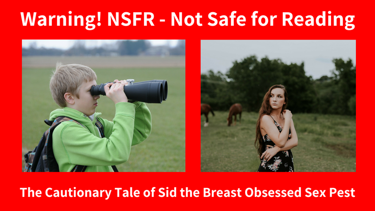 Warning! NSFR - Not Safe for Reading_Final.png