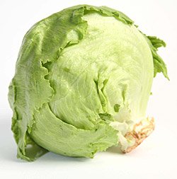 4_1_1_iceberglettuce.jpg