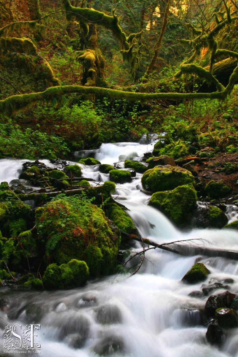 Columbia River Gorge (2).jpg