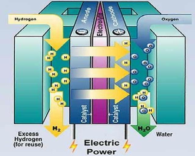 Hydrogen Fuel Cells Market.jpg