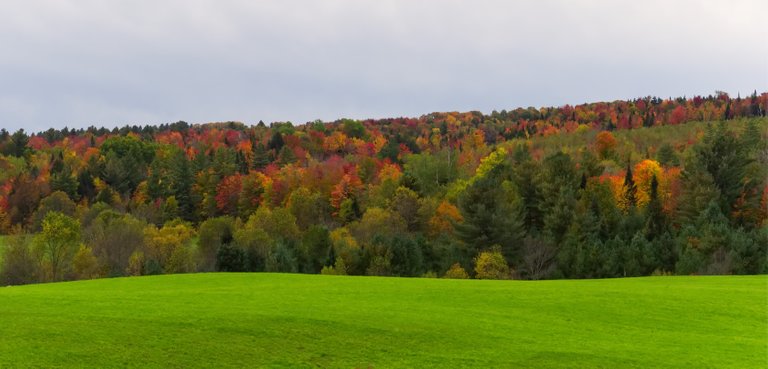 jessicaoutside.com-PA110037-rolling-countryside-autumn-fall-foliage-vermont-1680-90.jpg