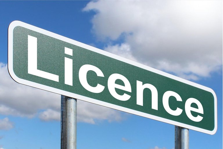 licence.jpg