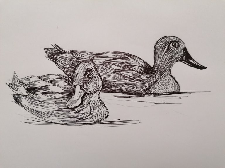 duck pen (6).jpg