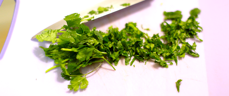 cilantro.png