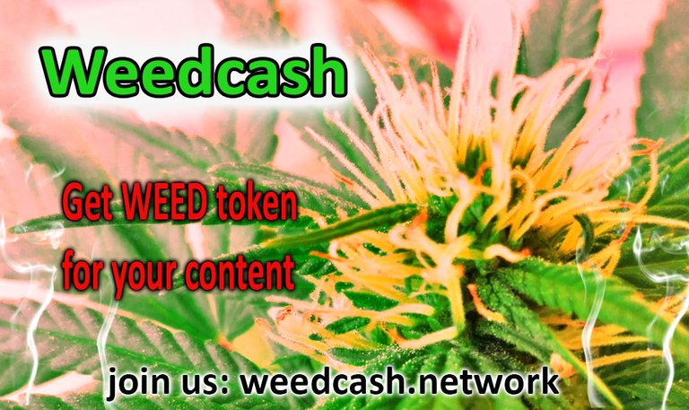 weedcash first2dwsdwdwes.jpg