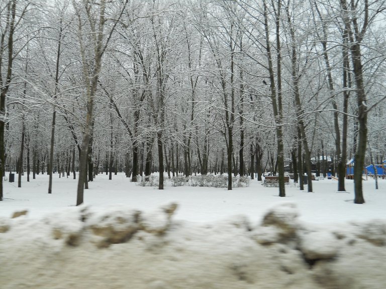 DSCN0011.JPG