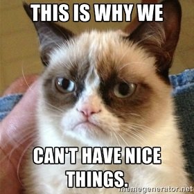 grumpycat nice things.jpg