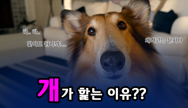 표지.png