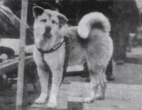 Hachiko_trainstation.jpg