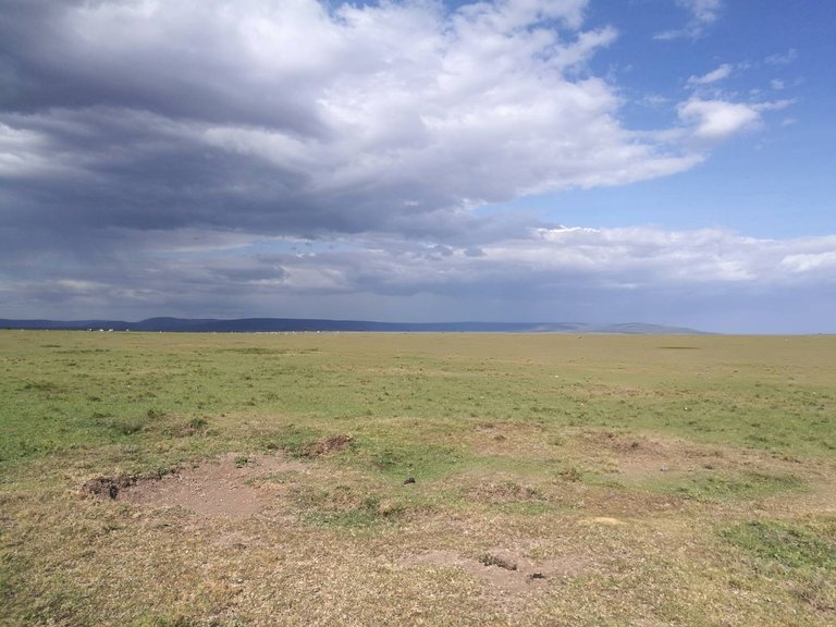 Maasai National Reserve11.jpg