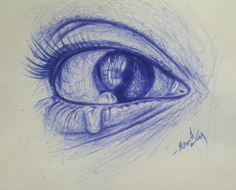 Do More With Less First attempt at a ballpoint pen eye drawing using  Staedtler ballpoint pens