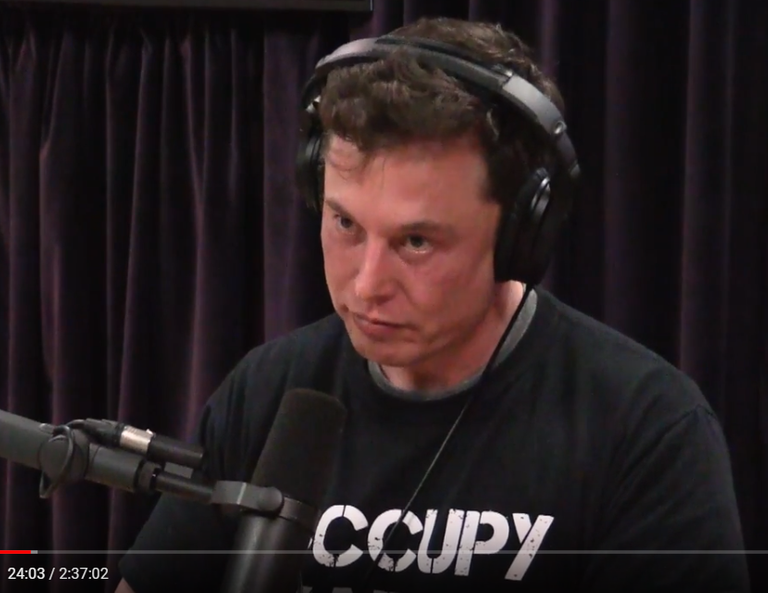 terribleORgreatMUSK.png