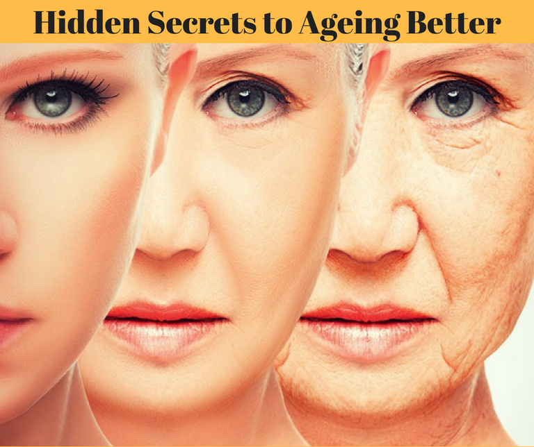 Hidden Secrets to Ageing Better.png