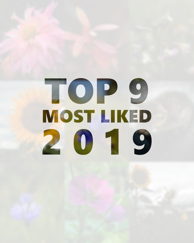top9 2019 most liked cover