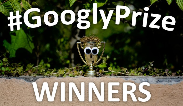 GooglyPrize GooglyEyes TitleImage Vol81