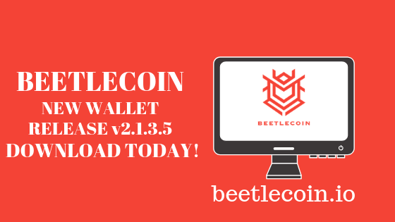 BeetleCoin-30thJuly2019.png