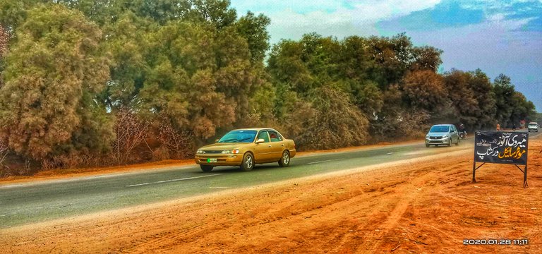 IMG_20200128_111118-01.jpeg